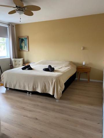 Sunnystay 43 มิดเดิลบวร์ก ภายนอก รูปภาพ